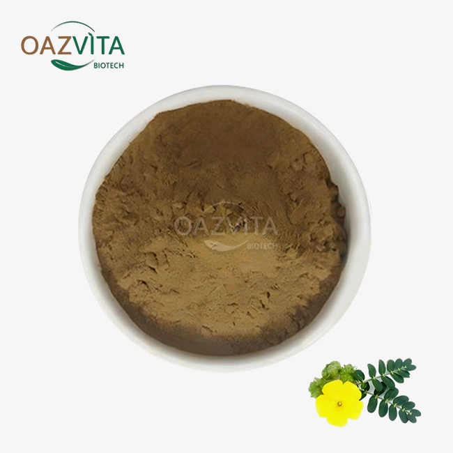 Tribulus Terrestris Extract Powder